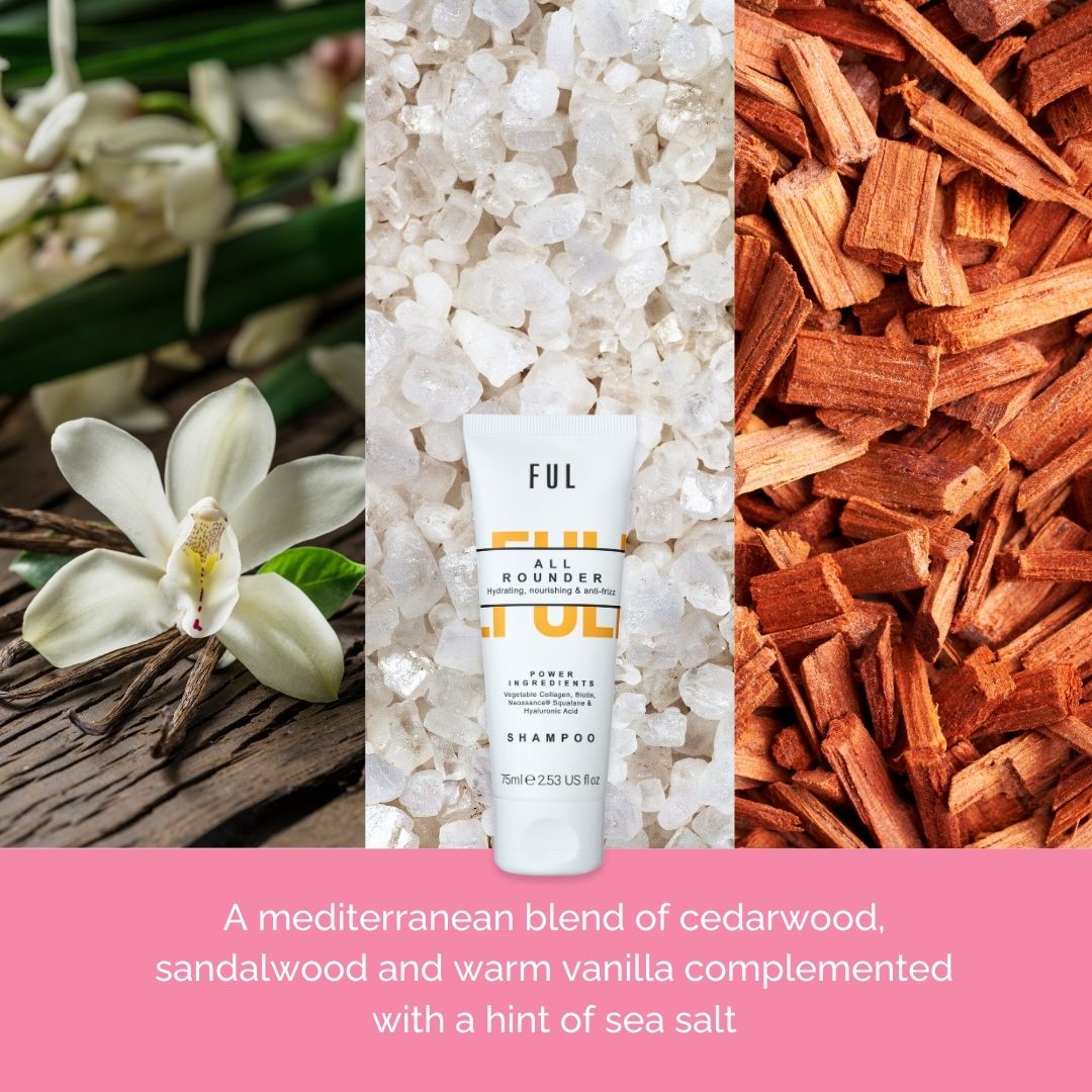 ALL ROUNDER SHAMPOO TRAVEL SIZE .