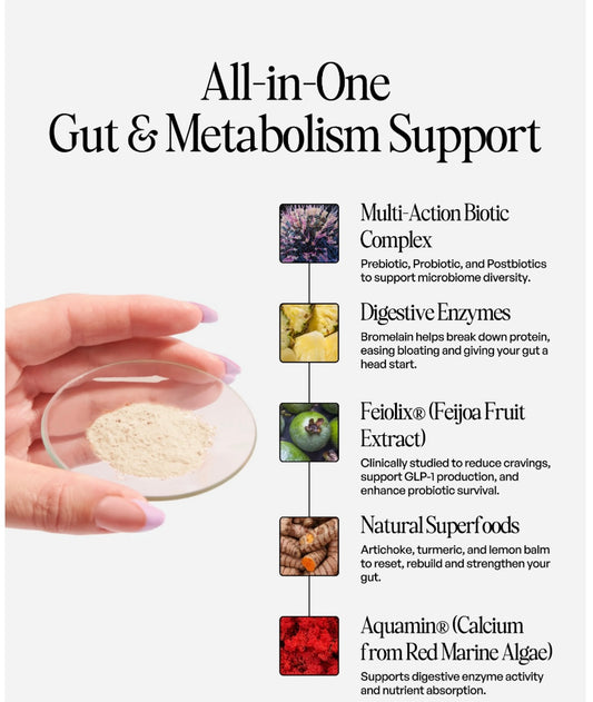 JERMS Daily Gut Microbiome & Metabolic Support