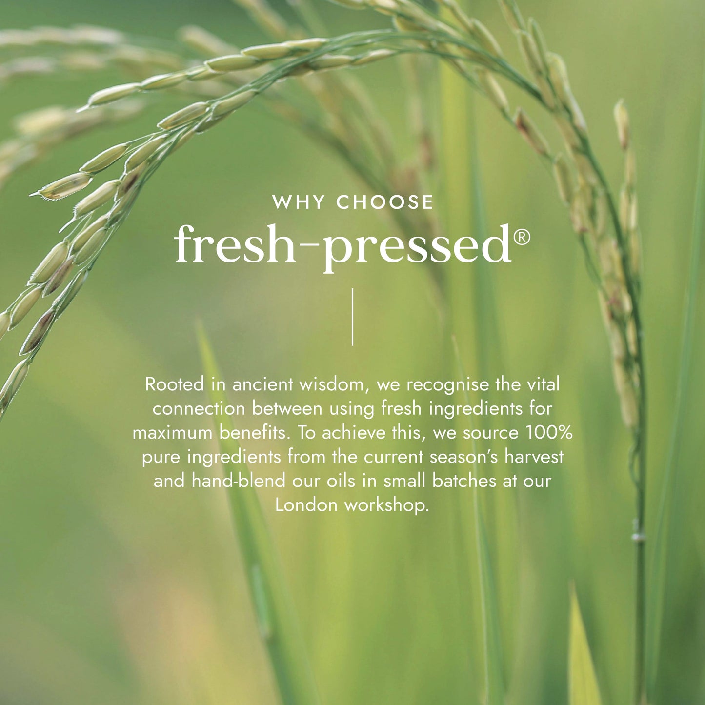 Fushi Wellness - Biovedic Glow & Radiance Set