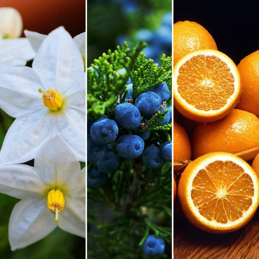 The Good Soap - Jasmine, Juniper and Orange Bar - Uplifting Soap and Solid Shampoo