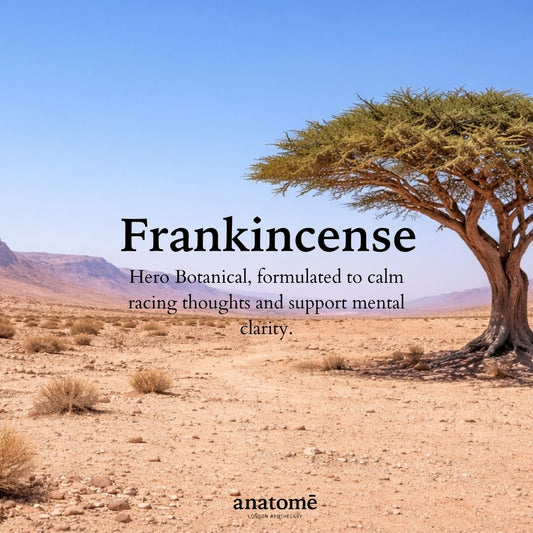 Anatomē - Sleep Oil for Overactive Mind – Somali Frankincense | 30ml