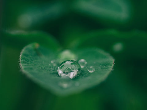 Make A Switch to Sustainable & Ethical Beauty
