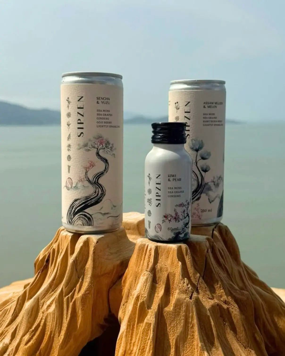 SipZen Drinks - NEW