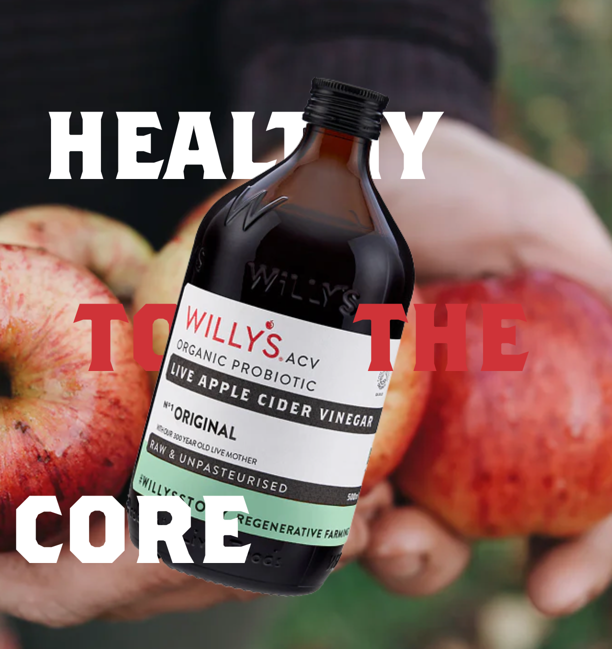 Willy's ACV - NEW