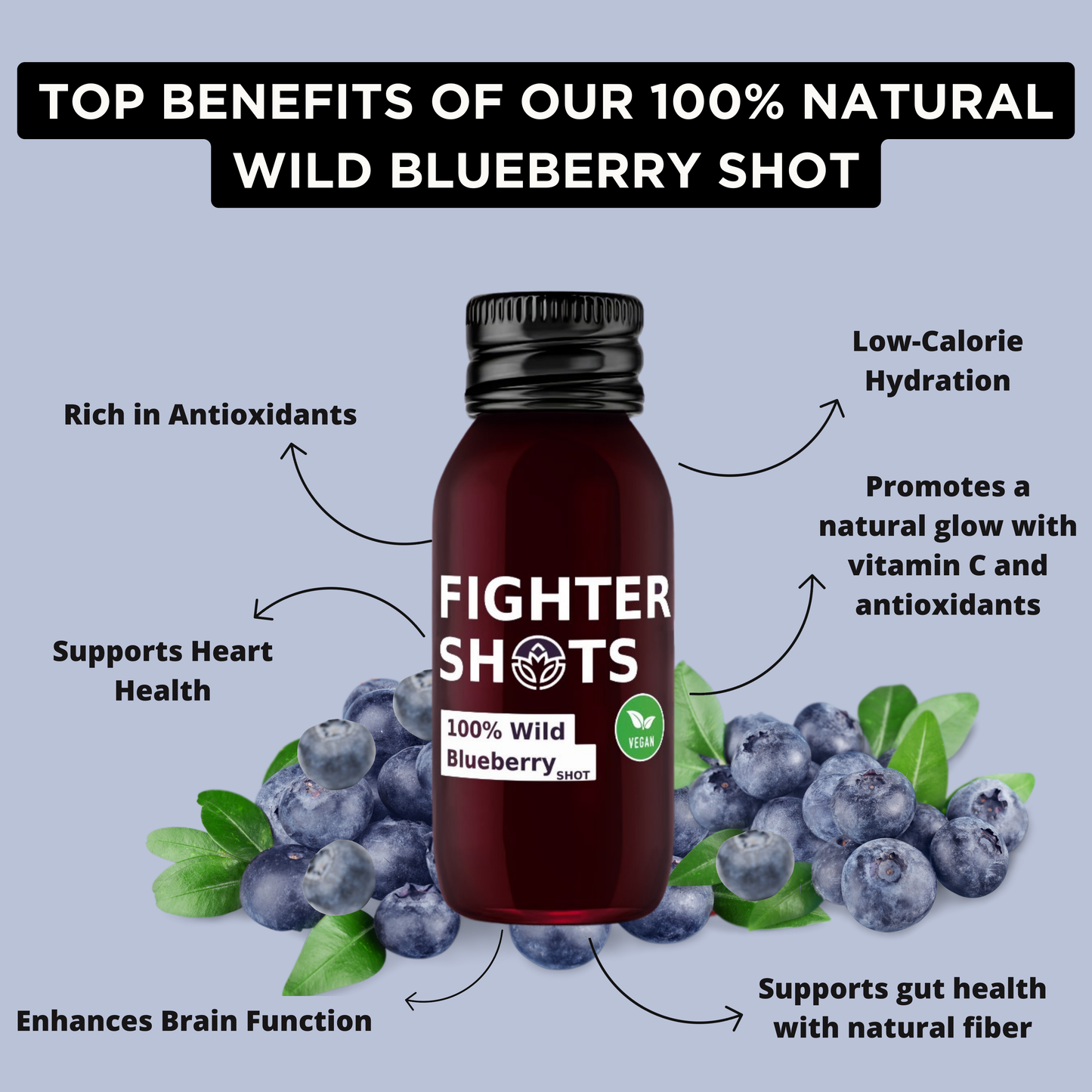 Fighter Shots Wild Blueberry | 100% Natural Cold-Pressed Wild Blueberry Shot