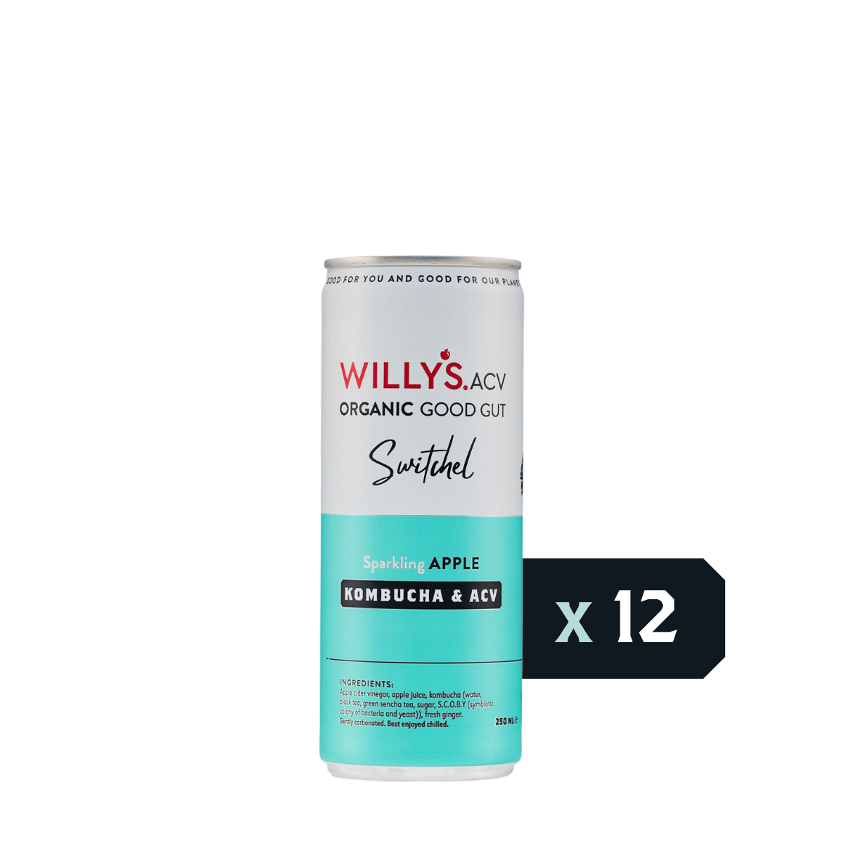 Willy's ACV - Sparkling Apple Switchel