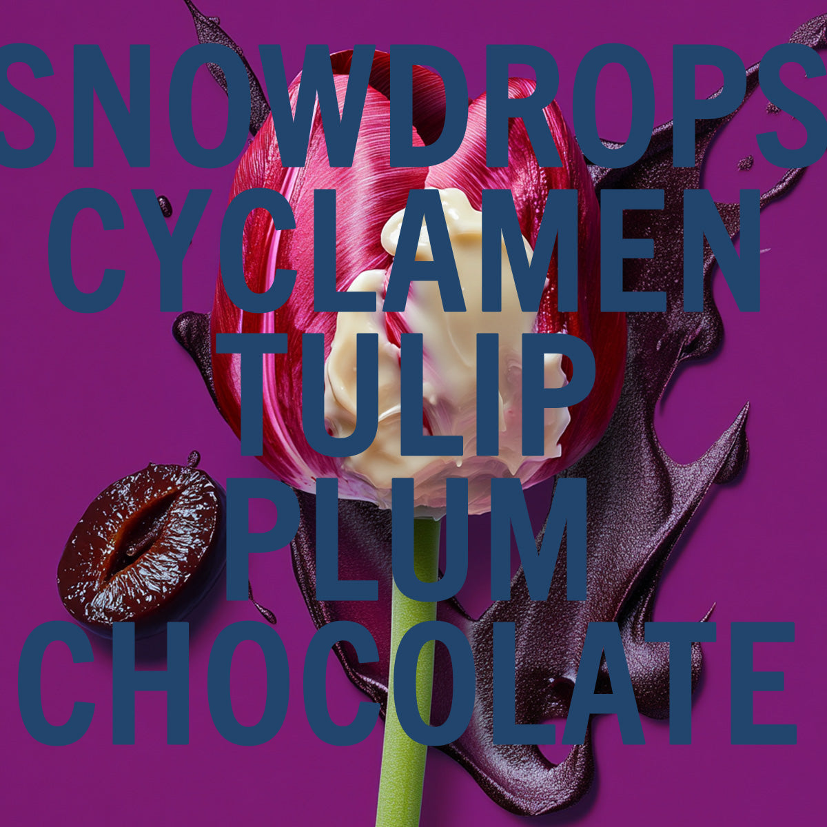 Shay & Blue Black Tulip Fragrance 100ml