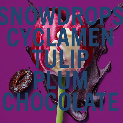 Shay & Blue Black Tulip Fragrance 100ml