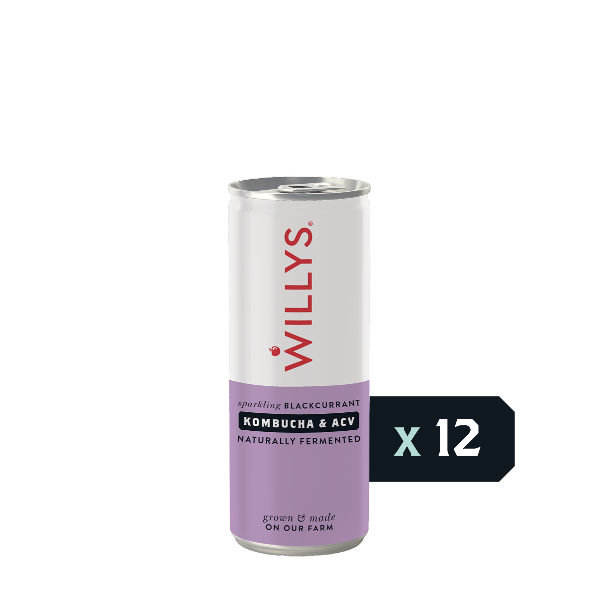 Willy's ACV - Fermented Blackcurrant Switchel