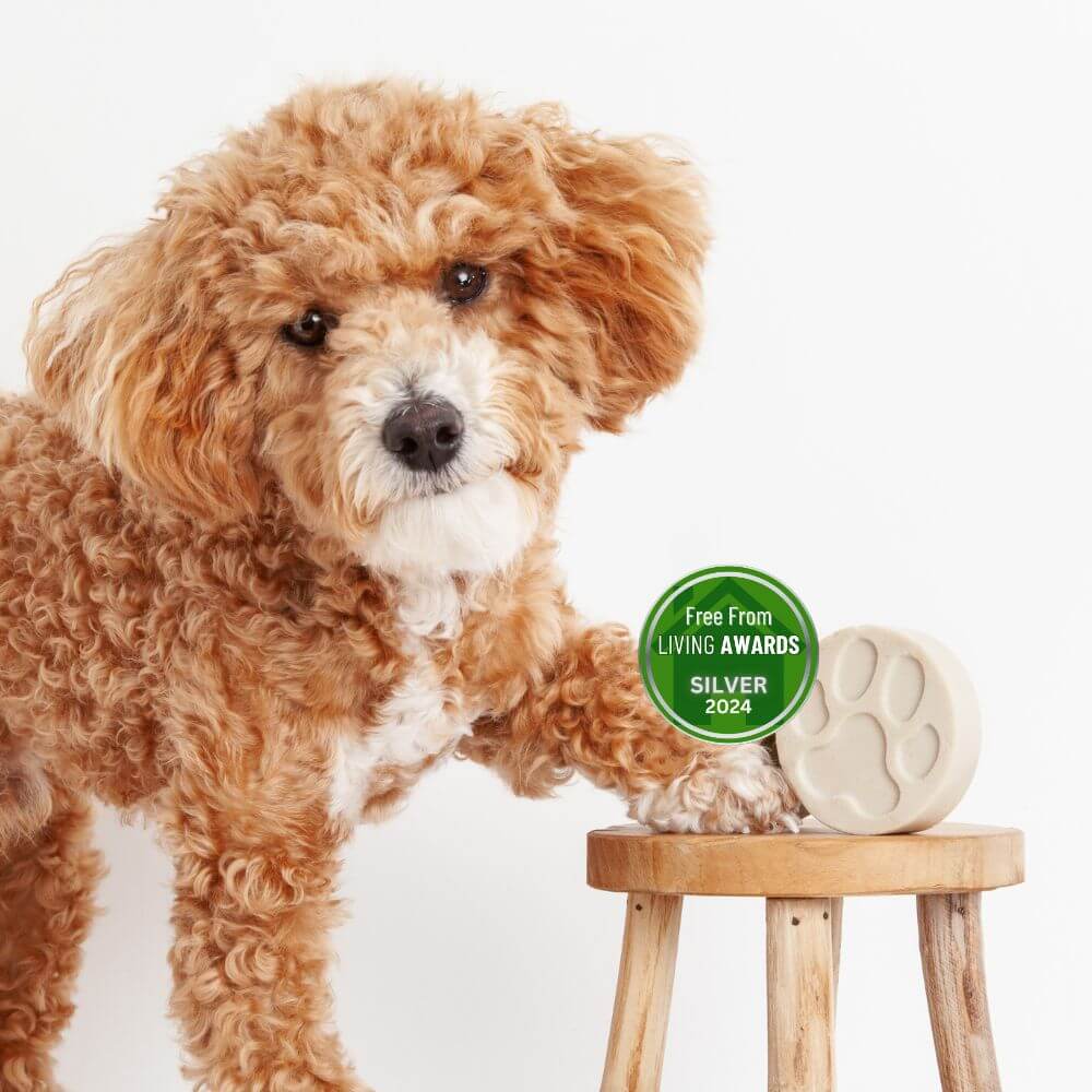 KIND2 - Fragrance Free Dog Shampoo Bar Bundle - 3 Bars
