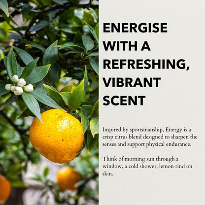 Anatomē - Energy Functional Parfum