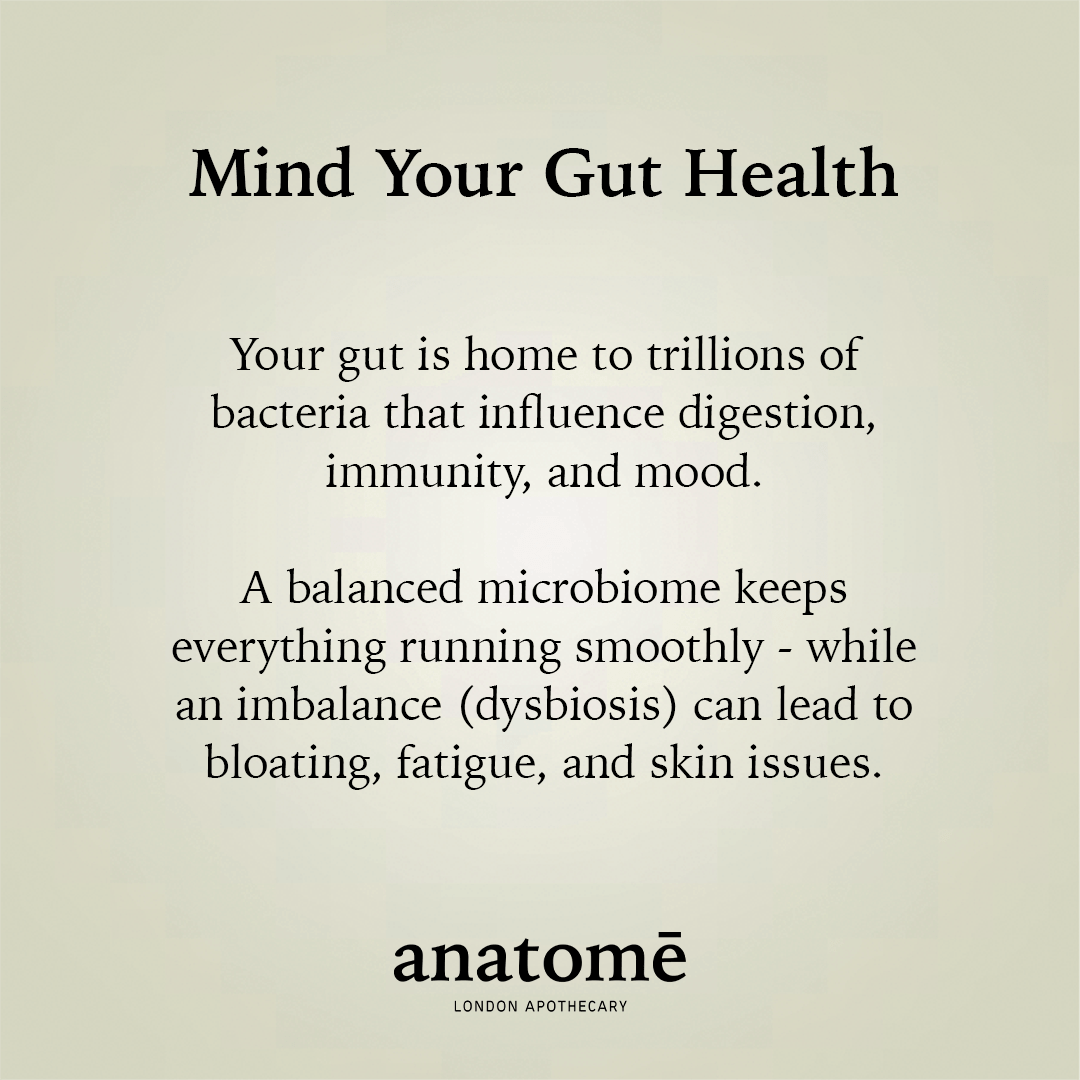 Anatomē - Essential Daily Probiotic Capsules + Gut Support