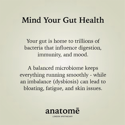 Anatomē - Essential Daily Probiotic Capsules + Gut Support