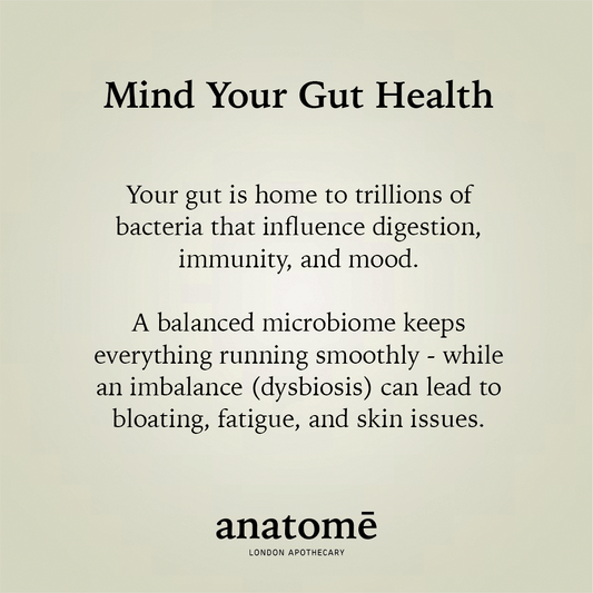 Anatomē - Essential Daily Probiotic Capsules + Gut Support