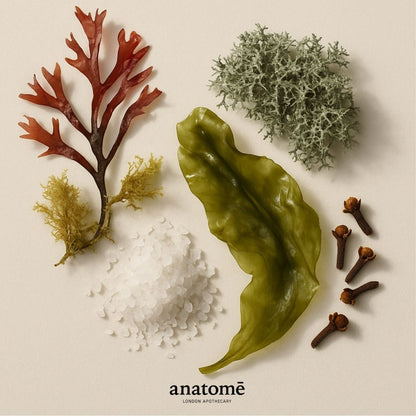 Anatomē - Expression Functional Parfum Travel 10ml