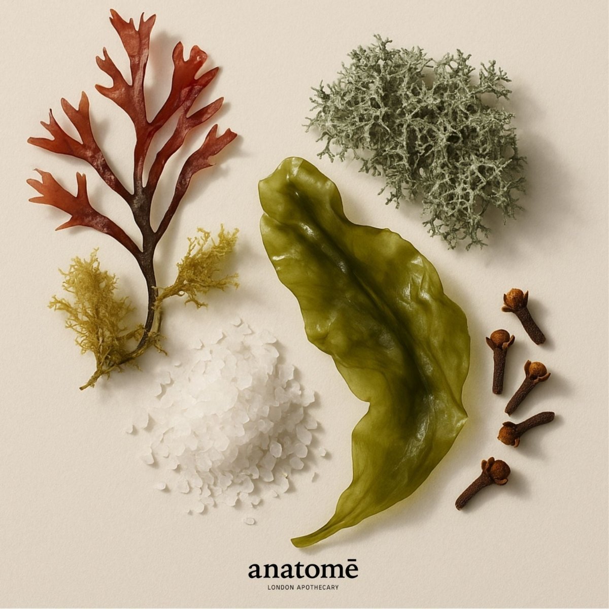 Anatomē - Expression Functional Parfum
