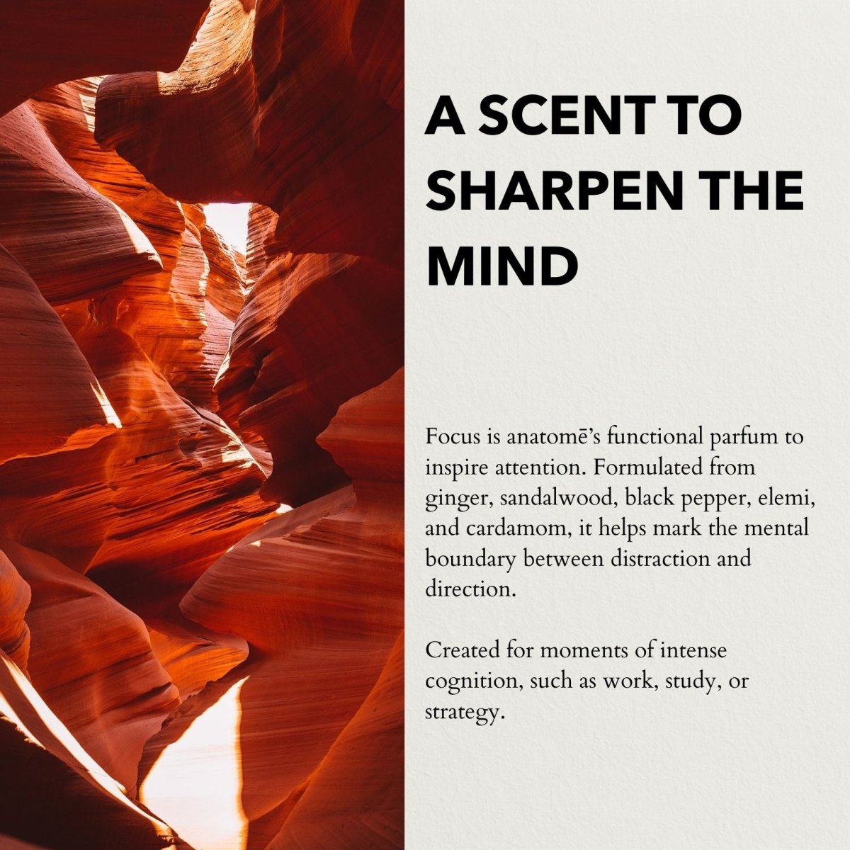 Anatomē - Focus Functional Parfum