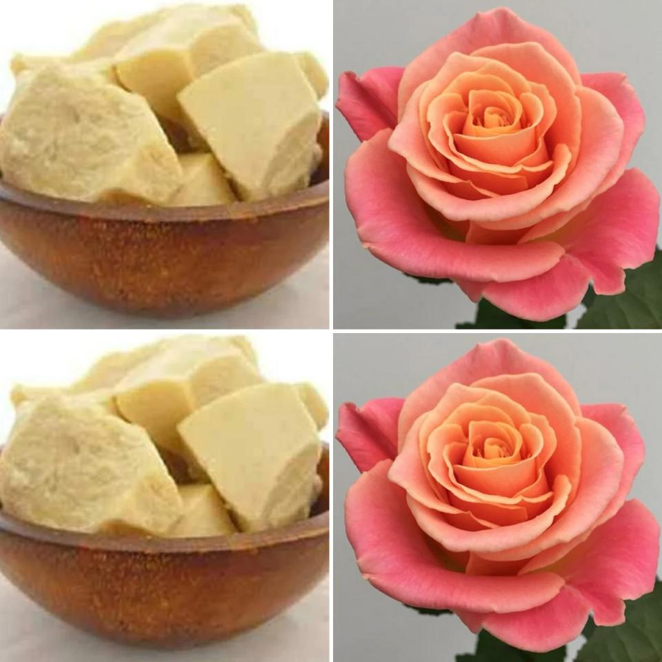 The Good Soap - Cocoa Butter & Rose Lotion Bar – Softening Solid Moisturiser for Dry Skin