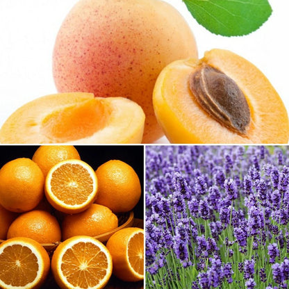 The Good Soap - Apricot, Orange & Lavender Lotion Bar – Soothing Solid Moisturiser for Face & Body