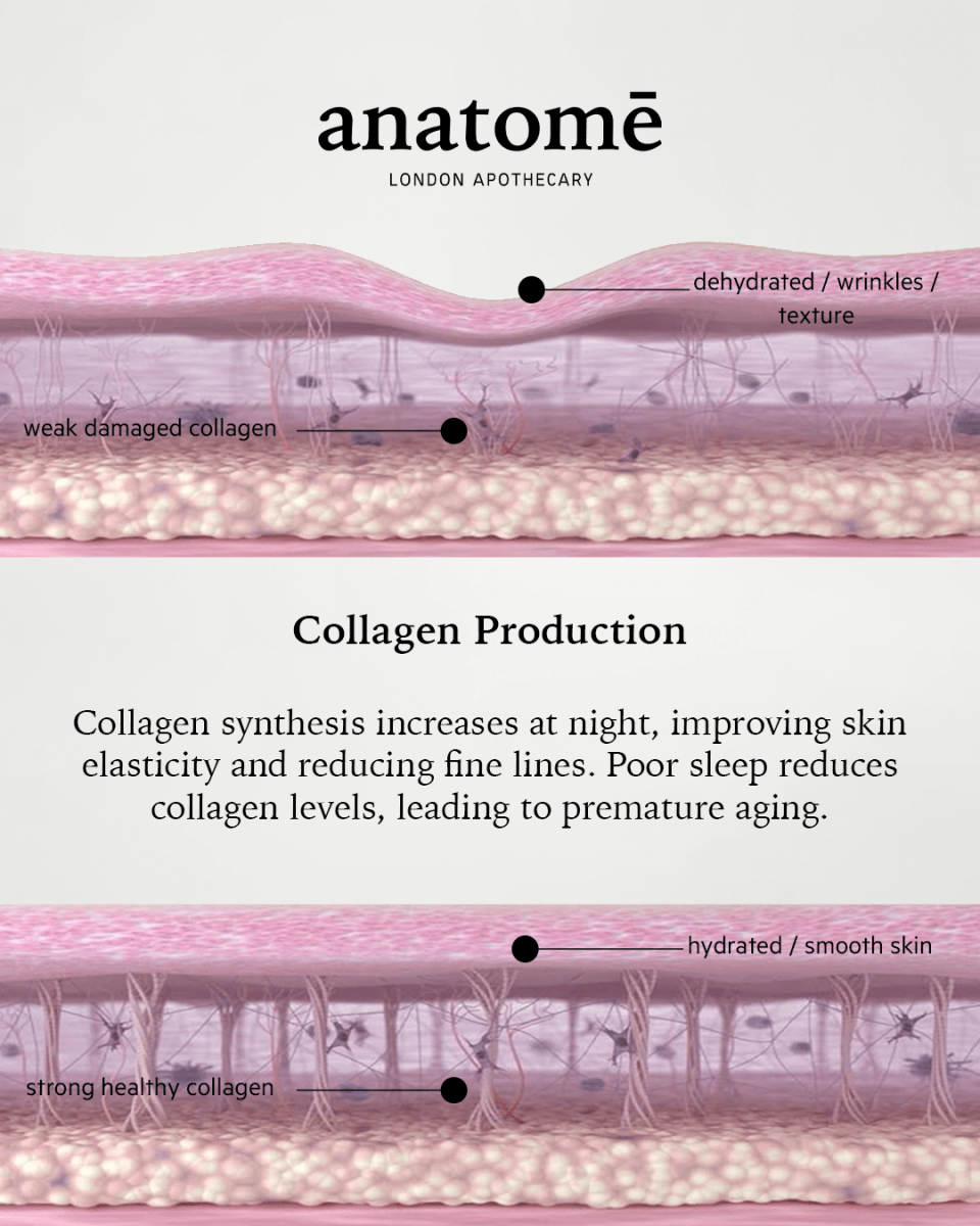 Anatomē - Illuminating Rose-hip, Grape Seed & Avocado Face Oil