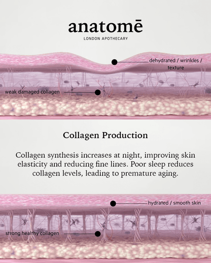 Anatomē - Illuminating Rose-hip, Grape Seed & Avocado Face Oil