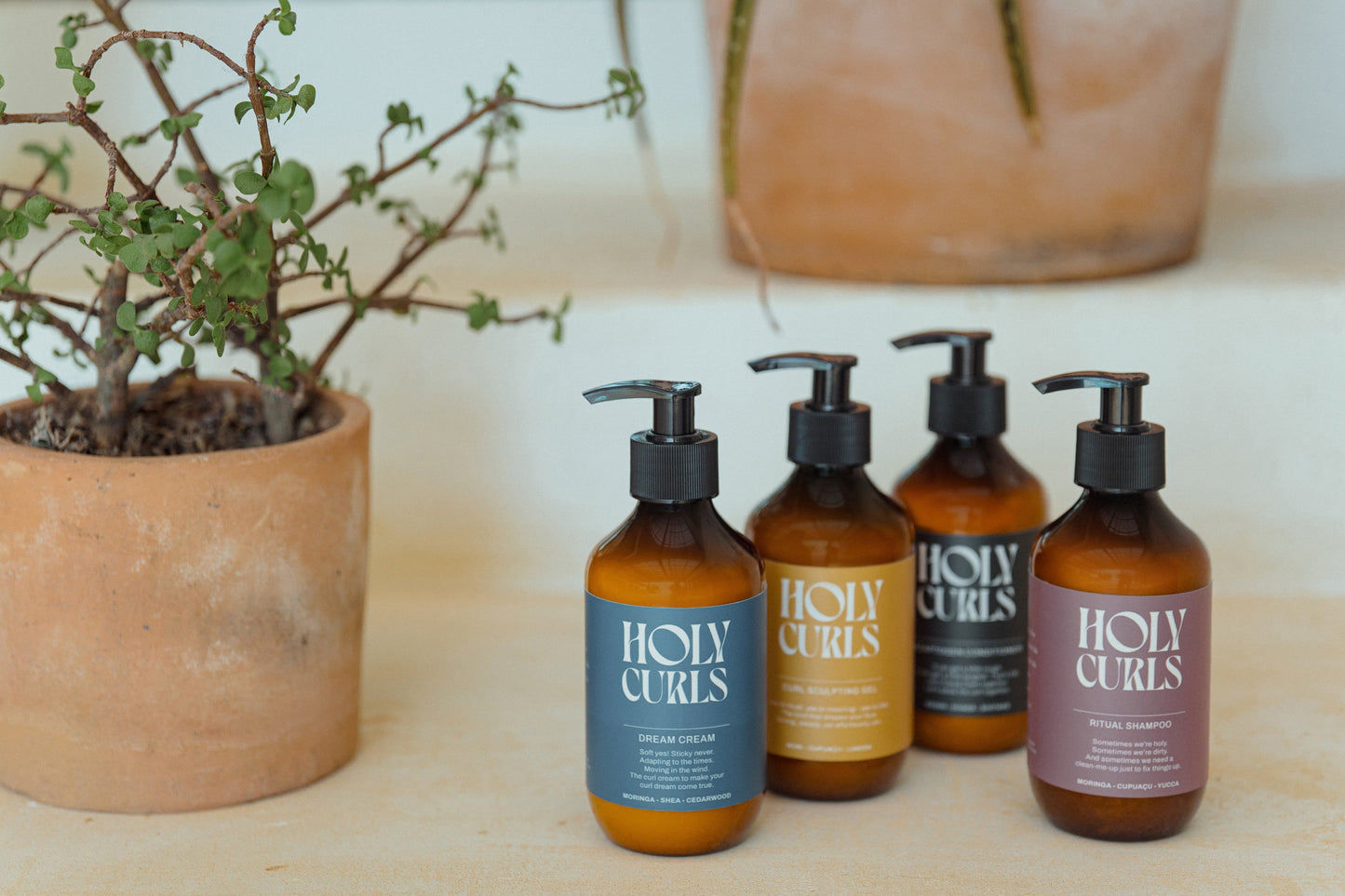 Holy Curls - The Essential Bundle