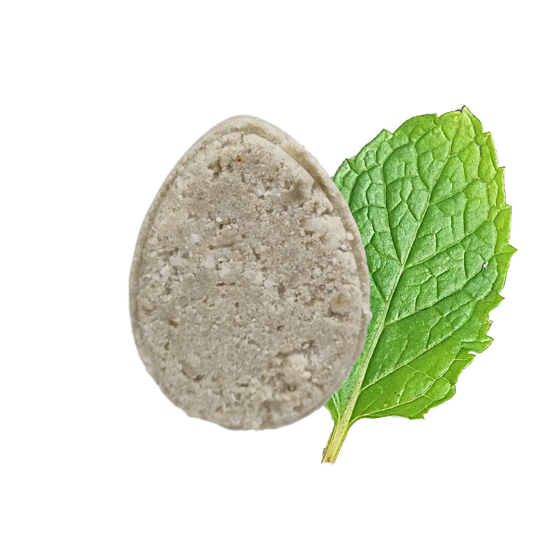 The Natural Spa - Mint ECO Shampoo bar - Non Soap based hair wash