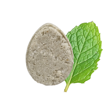 The Natural Spa - Mint ECO Shampoo bar - Non Soap based hair wash