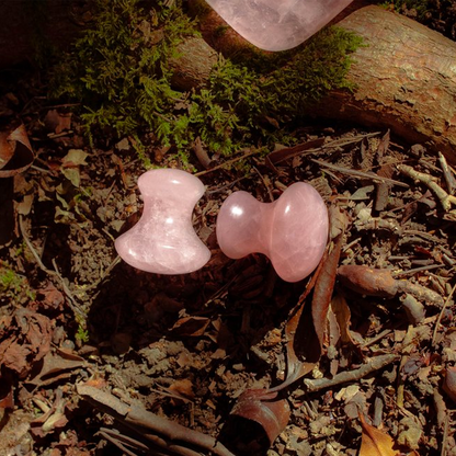 Earth to You - Niobe Mushrooms / Rose Quartz