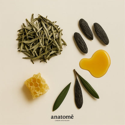 Anatomē - Order Functional Parfum