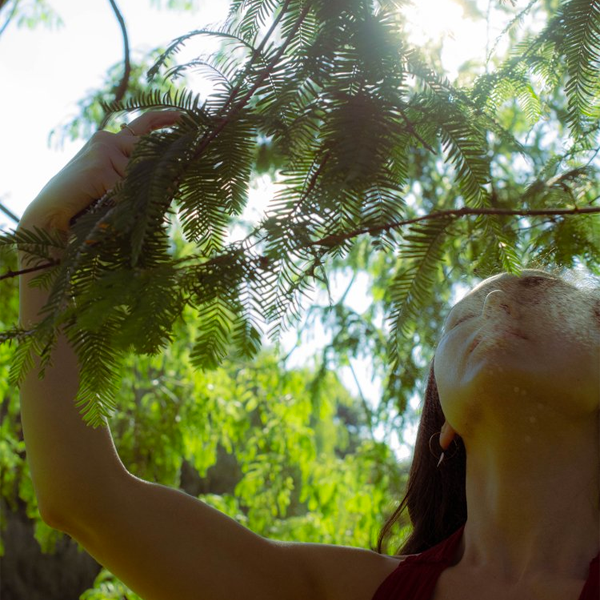 Earth to You - Organic Hydrating Rose Facial Mist