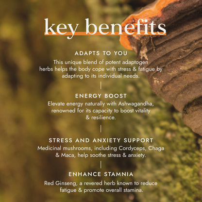 Fushi Wellbeing - Adaptogen Energy Blend
