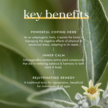 Fushi Wellbeing - Organic Ashwagandha for Stress & Sleep Support