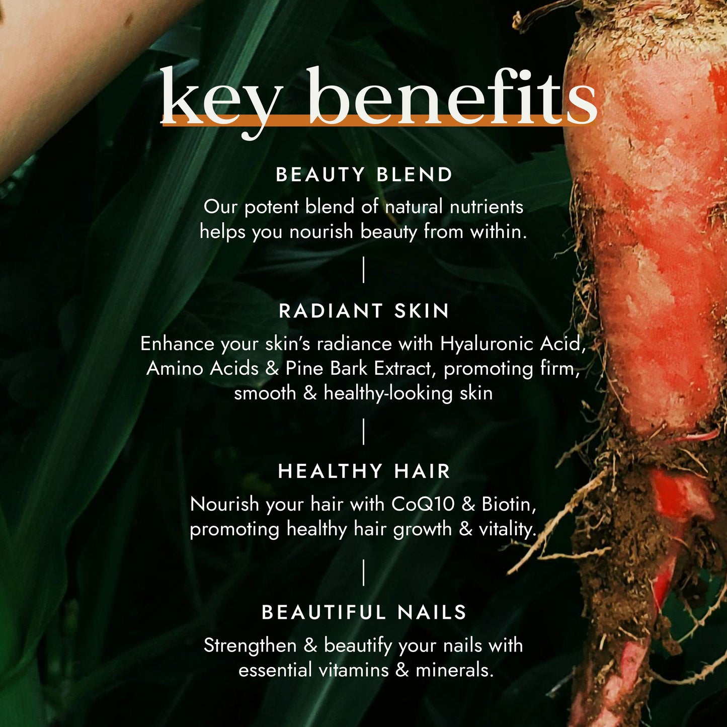 Fushi Wellbeing - Beauty Totale