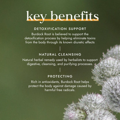 Fushi Wellbeing - Organic Burdock Root