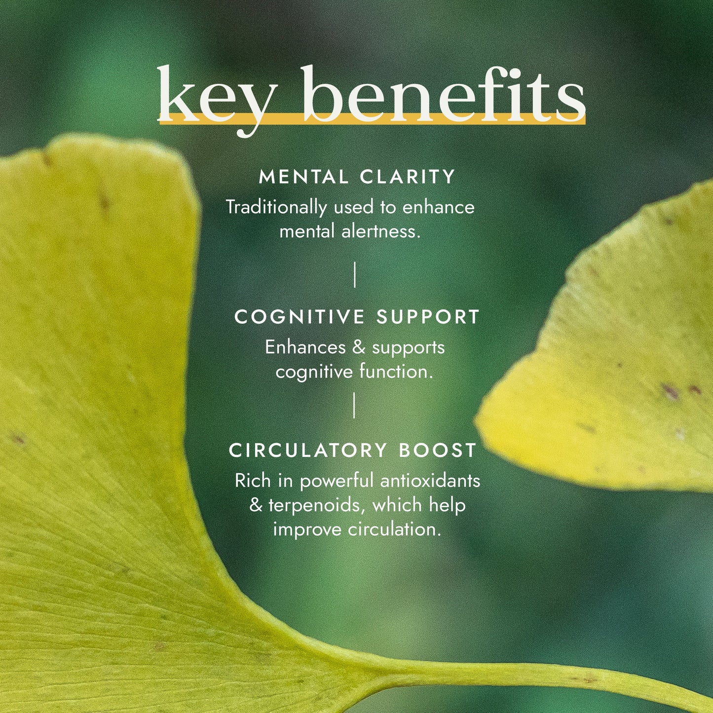 Fushi Wellbeing - Organic Ginkgo Biloba