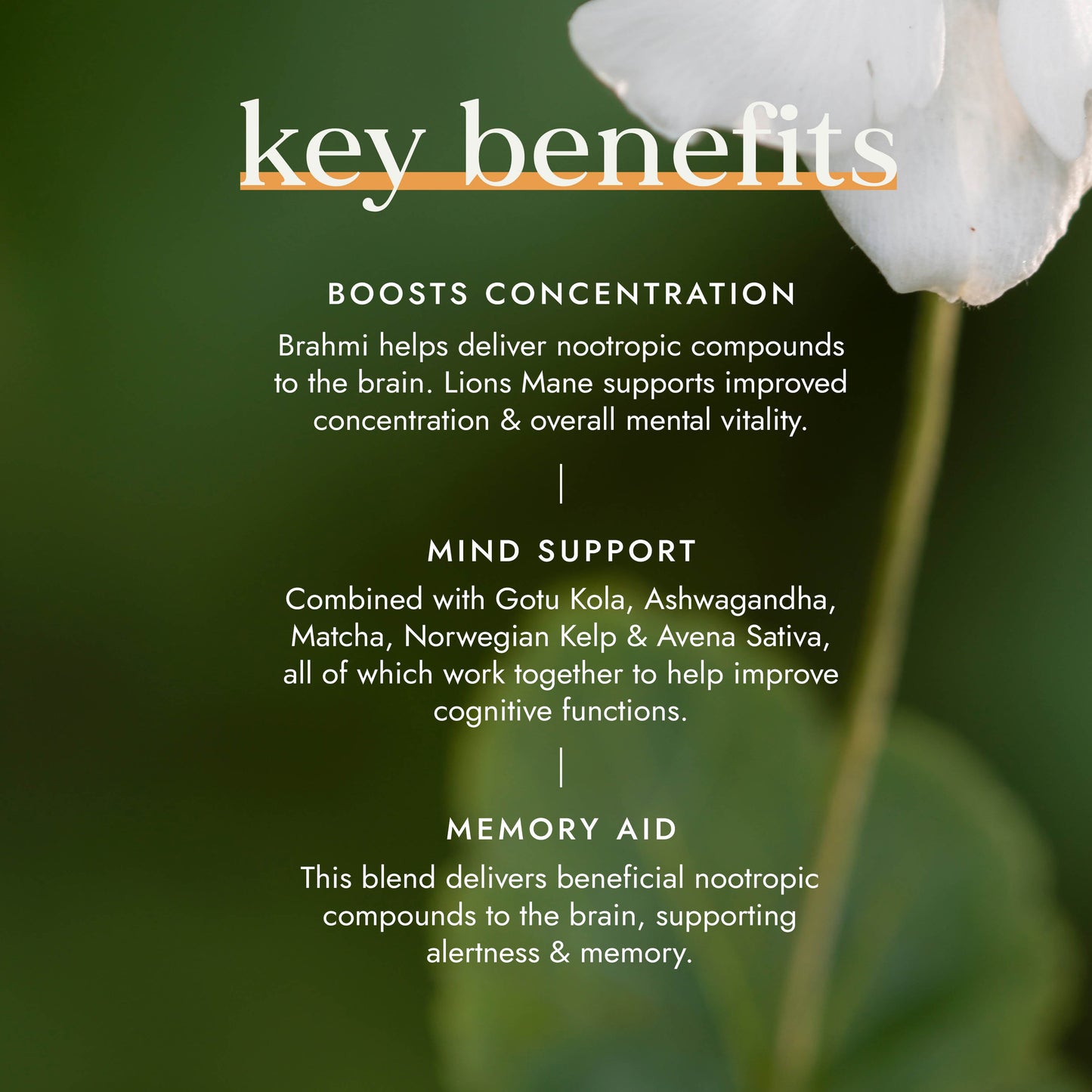 Fushi Wellbeing - Nootropic Brain Blend | for Focus & Memory