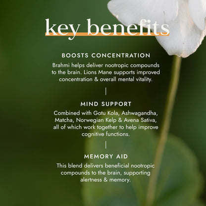 Fushi Wellbeing - Nootropic Brain Blend | for Focus & Memory