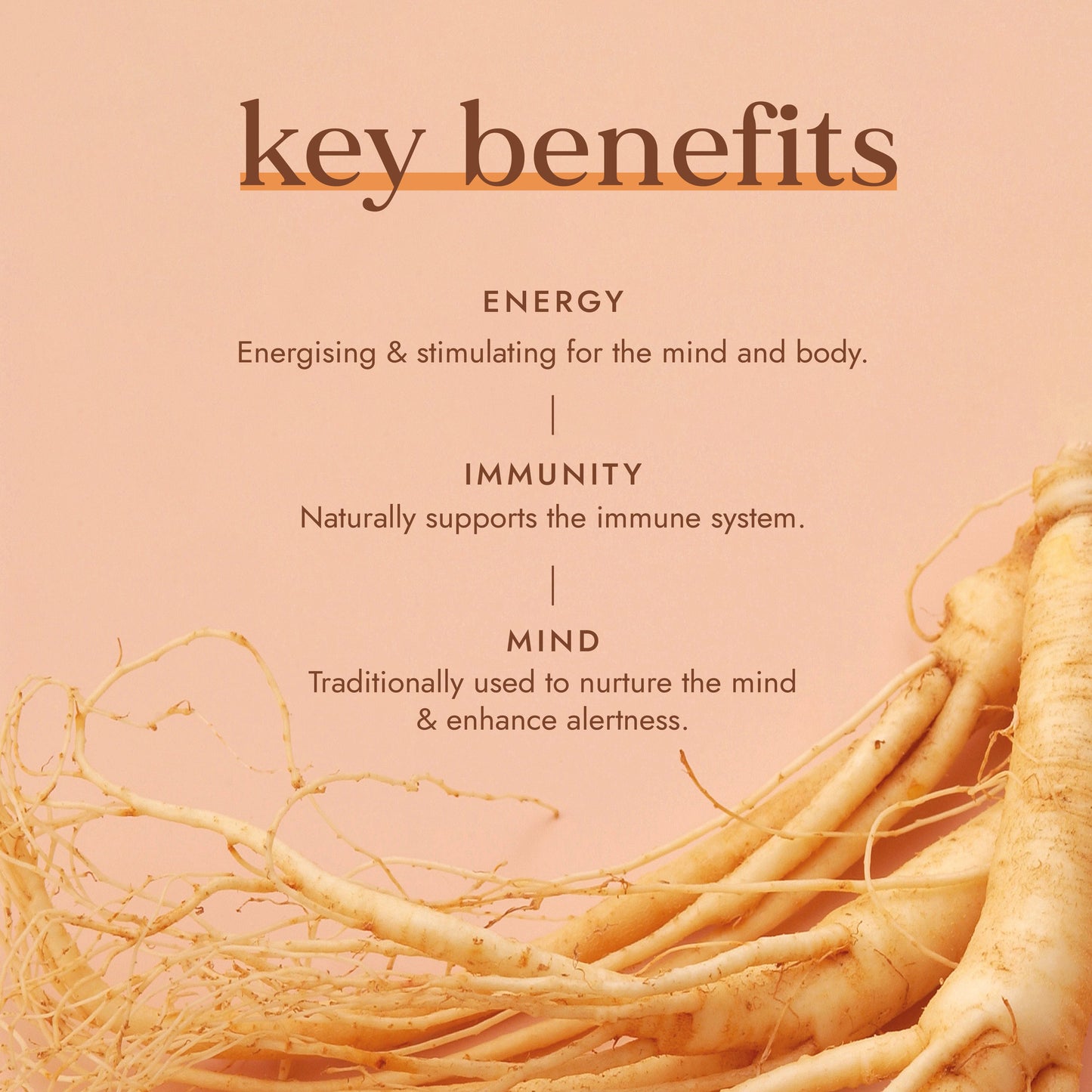 Fushi Wellbeing - Organic Red Ginseng