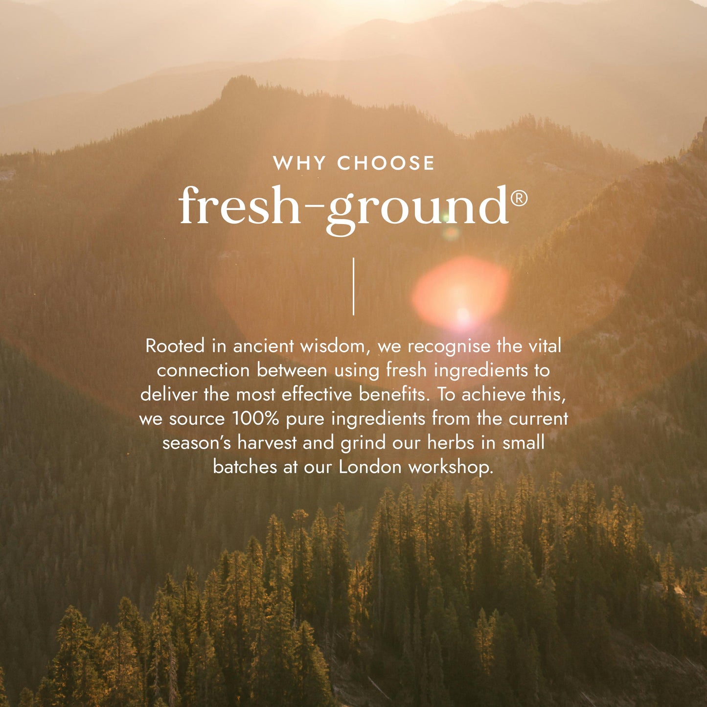 Fushi Wellbeing - Adaptogen Energy Blend