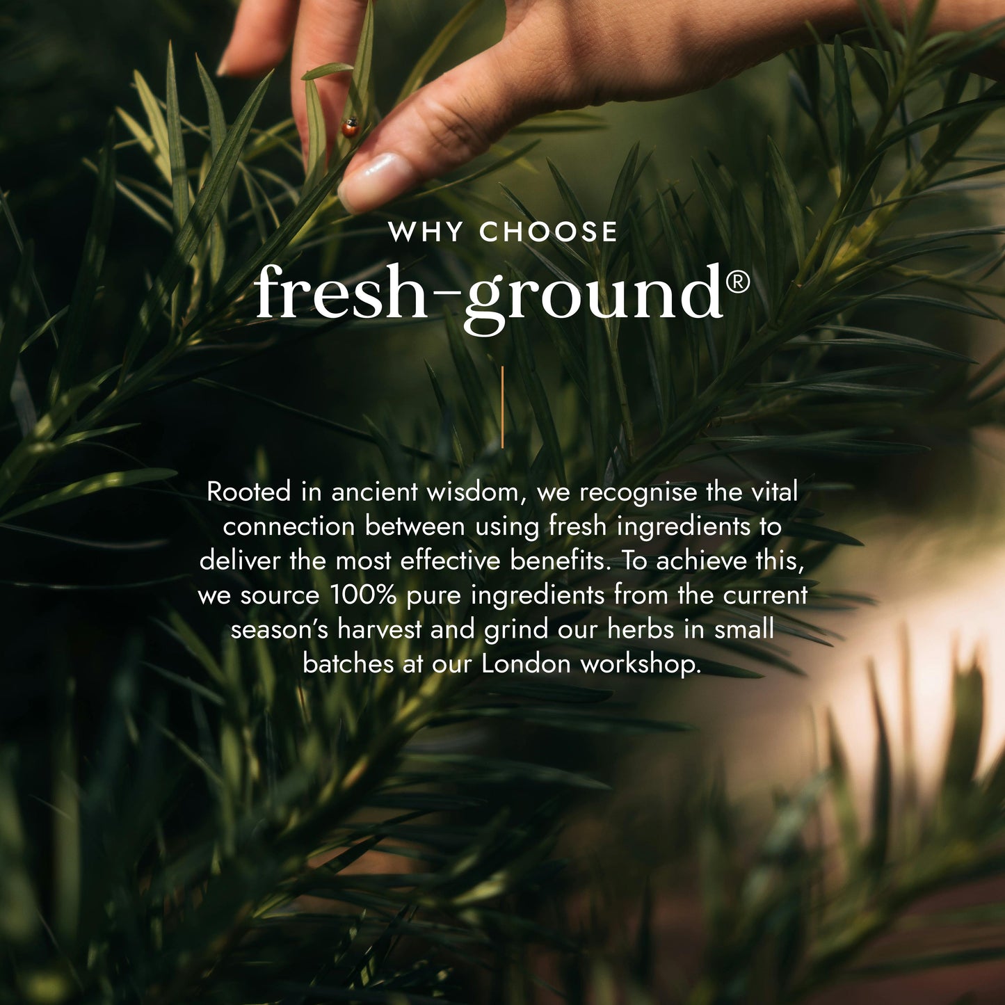 Fushi Wellbeing - Beauty Totale