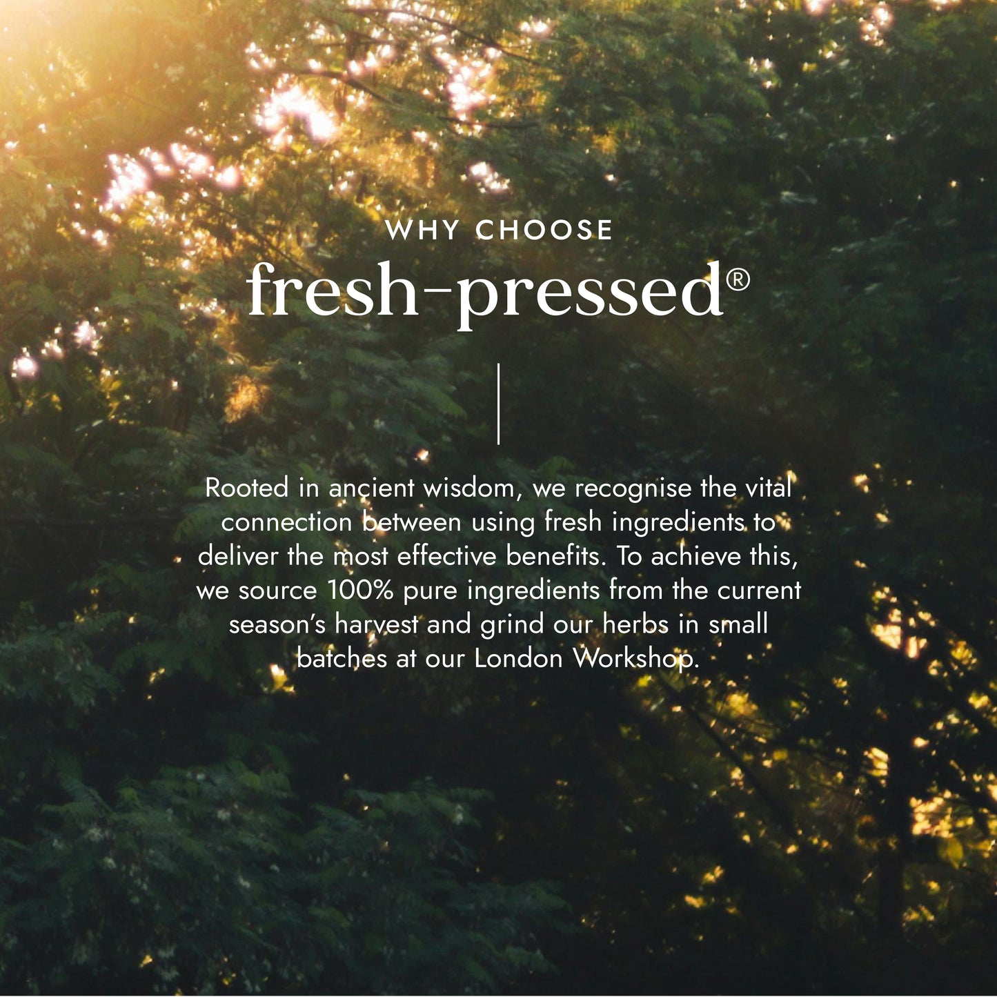 Fushi Wellbeing - Organic Avocado Oil 100ml