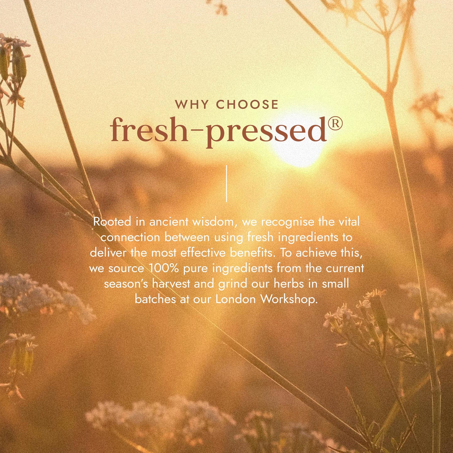 Fushi Wellbeing - Organic Ghee 230g