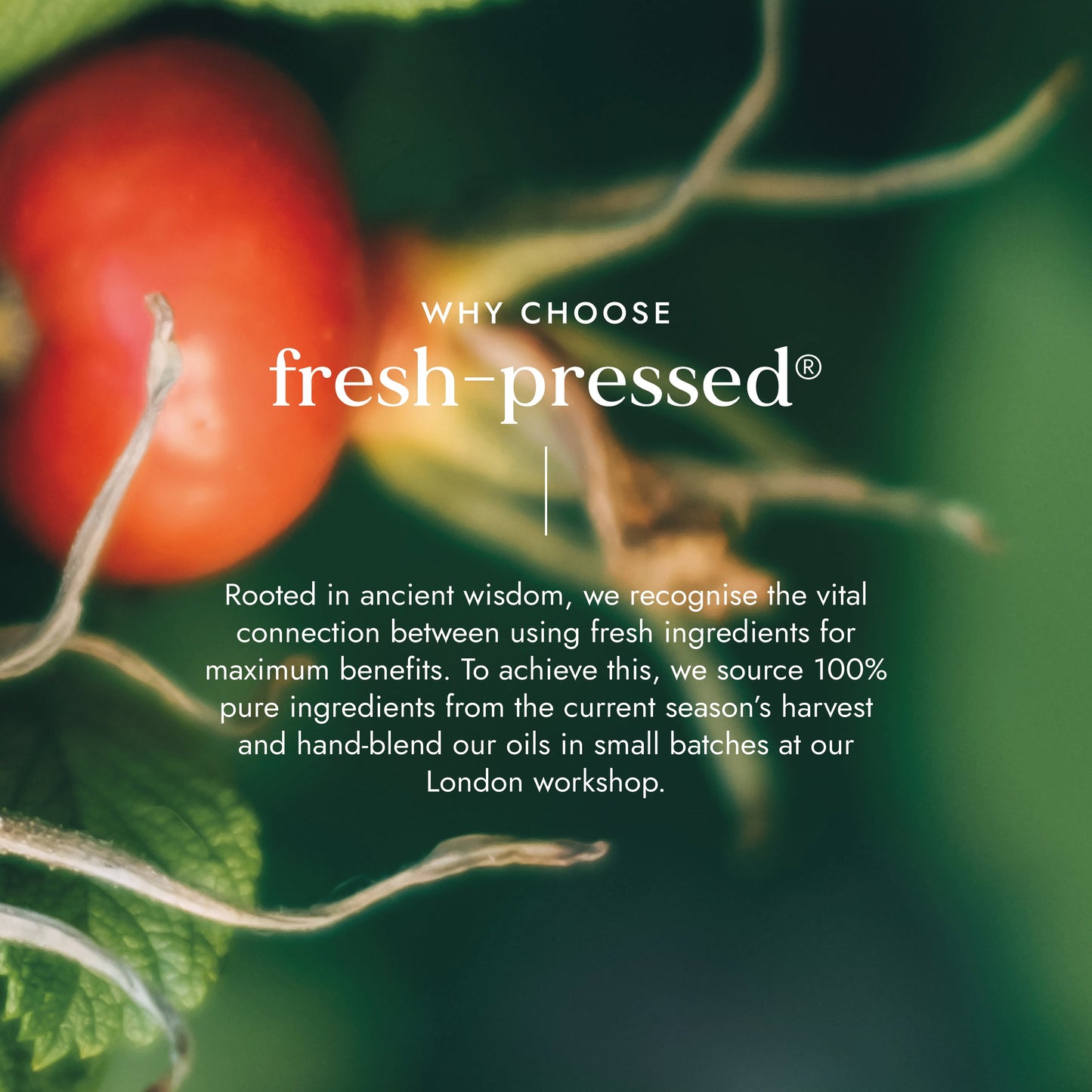 Fushi Wellbeing - Organic Rosehip Oil 100ml