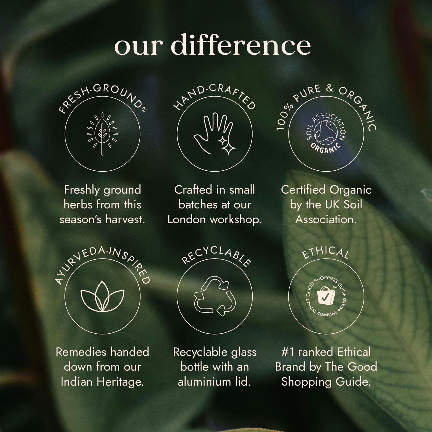 Fushi Wellbeing - Organic Ashwagandha for Stress & Sleep Support