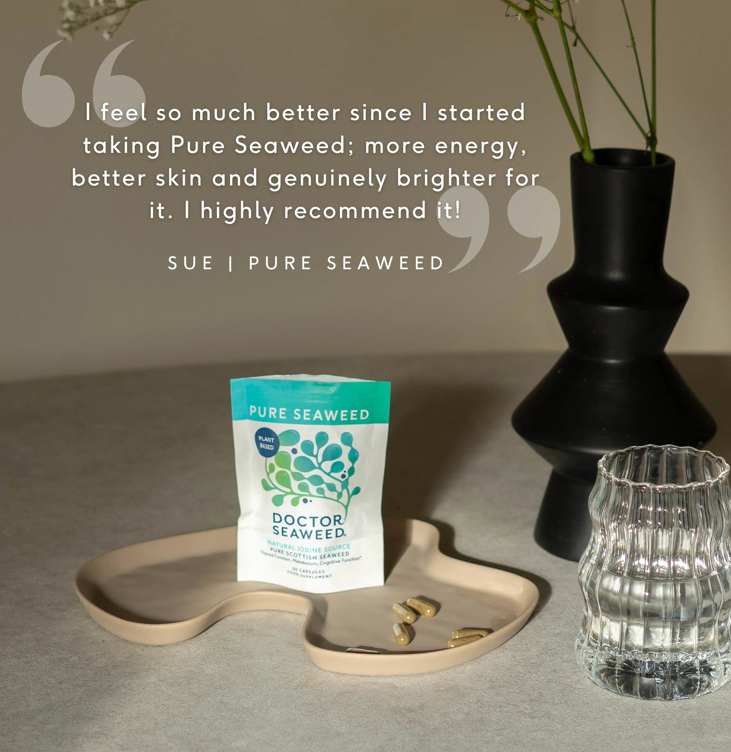 Doctor Seaweed Pure Organic Seaweed.