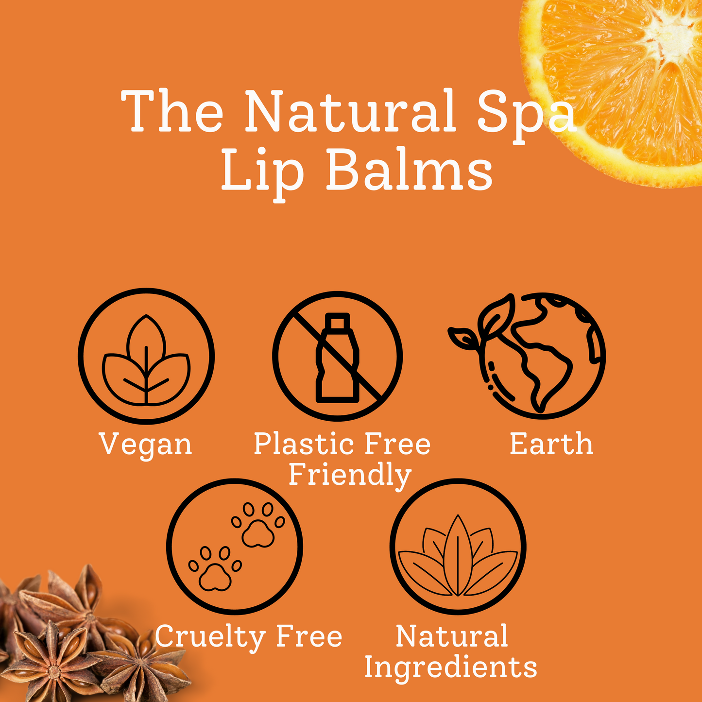 The Natural Spa - Spiced Orange   All Natural Lip Balm