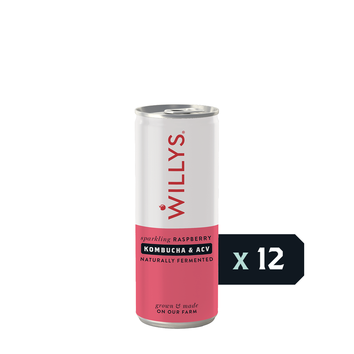 Willy's ACV - Fermented Raspberry Switchel