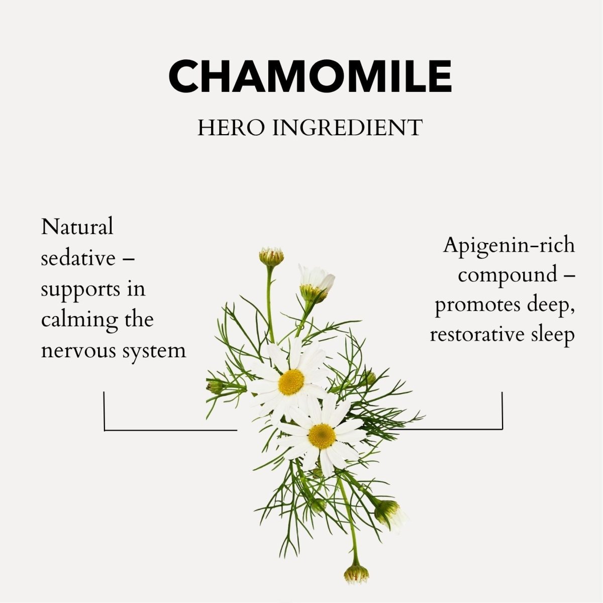 Anatomē - Restless Mind Sleep Oil | Roman Chamomile
