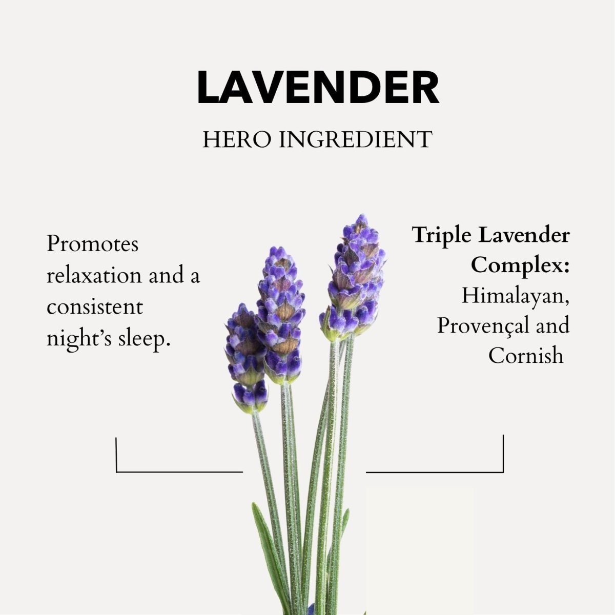 Anatomē - Stressed Mind  Sleep Oil - Lavender Complex